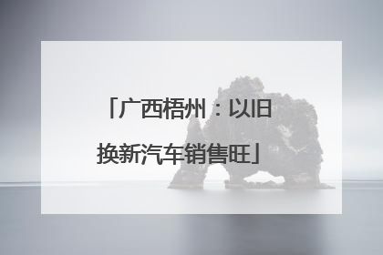 广西梧州：以旧换新汽车销售旺